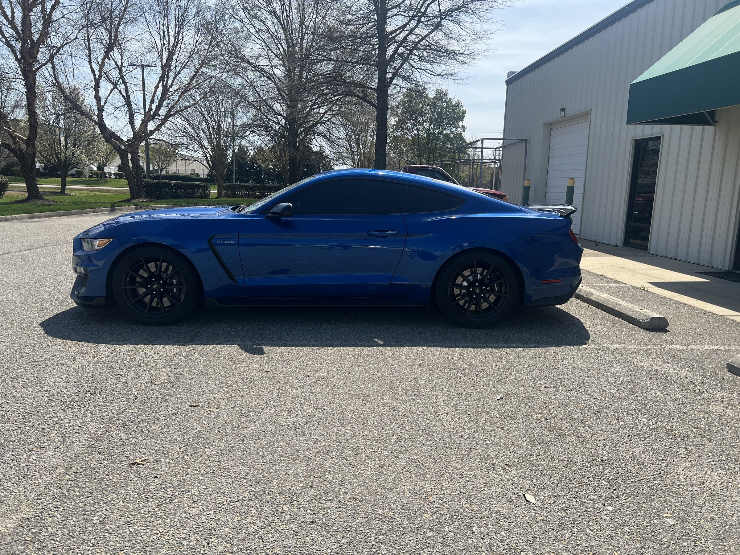 Blue Ford Mustang with dark side window tint photographed outside Tint Heaven